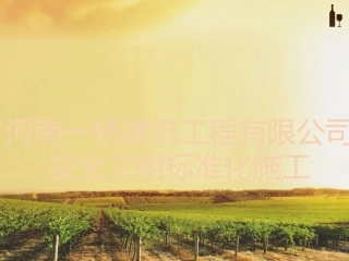 安全文明标准化施工手册修改