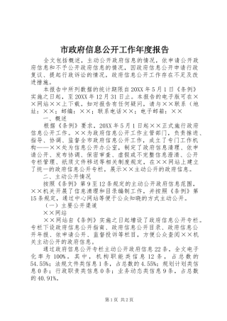 市政府信息公开工作年度报告