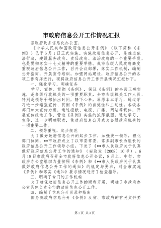 市政府信息公开工作情况汇报