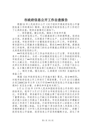 市政府信息公开工作自查报告