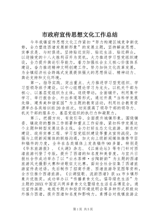 市政府宣传思想文化工作总结