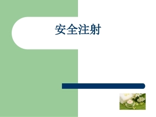 安全注射培训课件