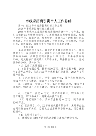 市政府招商引资个人工作总结