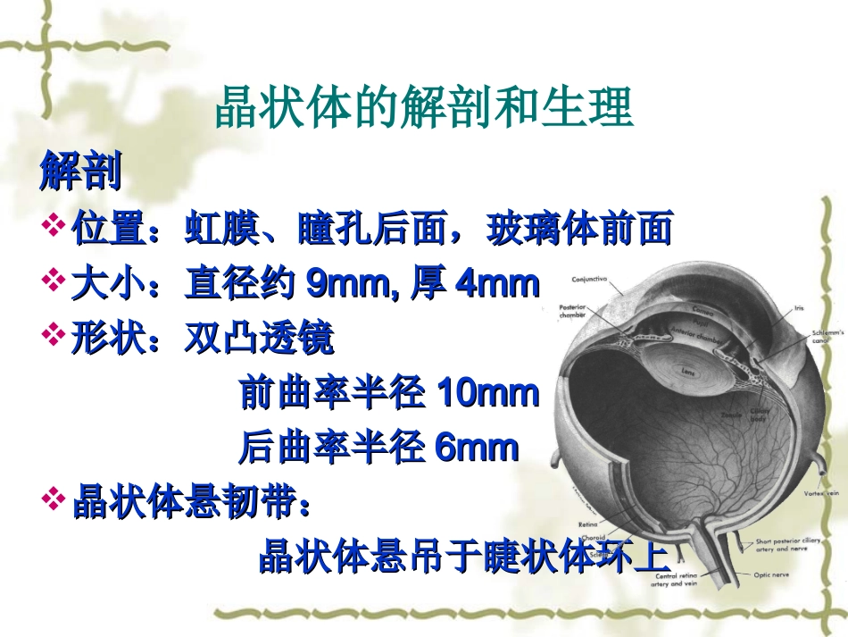 白内障专业知识讲座讲义_第2页