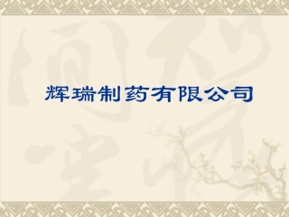 拜访培训课件资料辉瑞制药