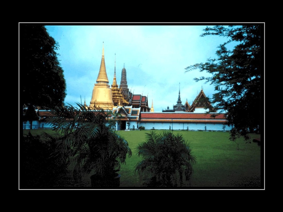 斑贴试验最新_第1页