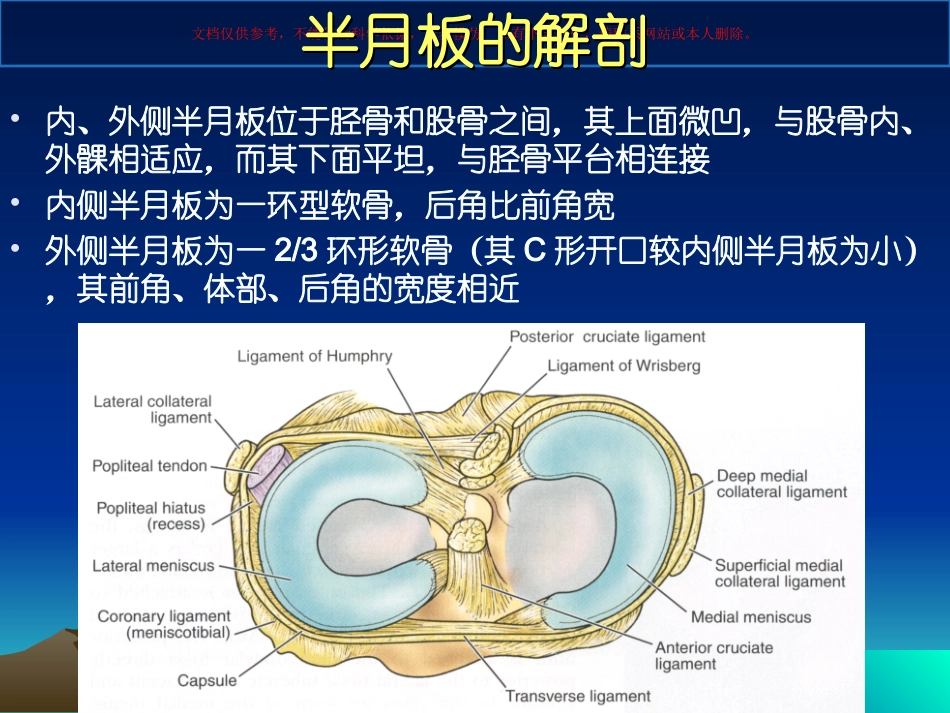 半月板损伤标准课件_第1页