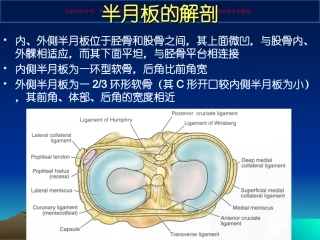 半月板损伤标准课件