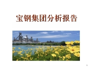 宝钢集团分析报告完整版