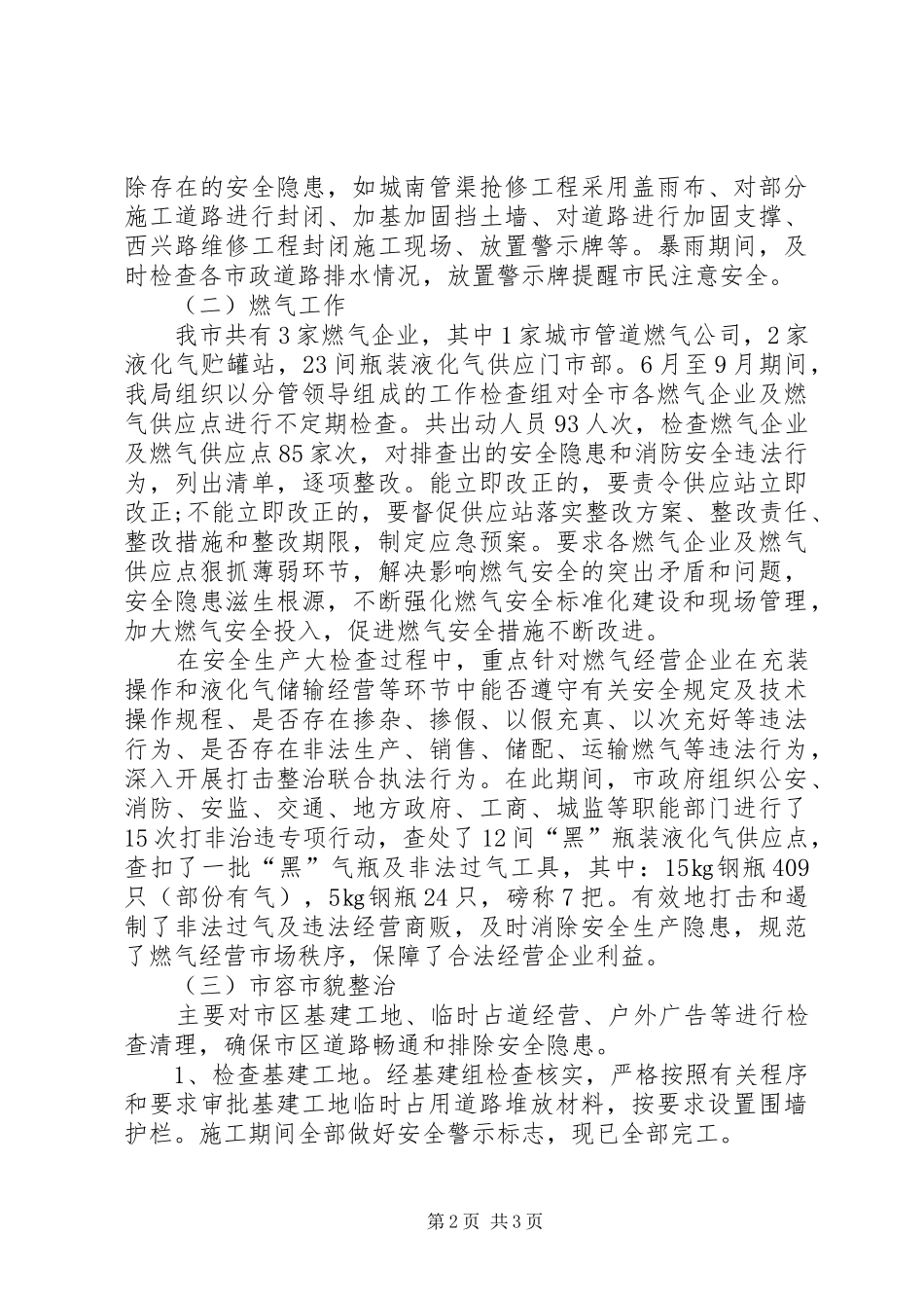 市政局工作总结_第2页