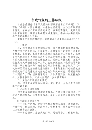 市政气象局工作年报