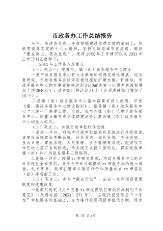 市政务办工作总结报告