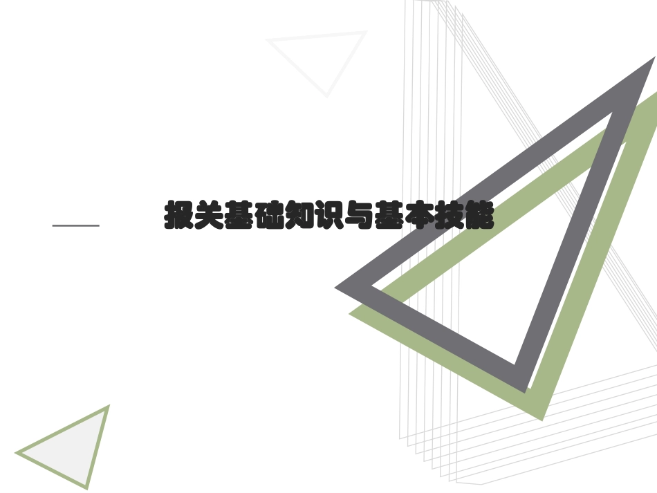 报关员业务培训报关基础知识与基本技能培_第1页