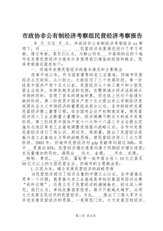 市政协非公有制经济考察组民营经济考察报告