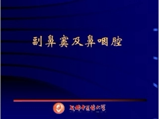 鼻和鼻窦CT解剖