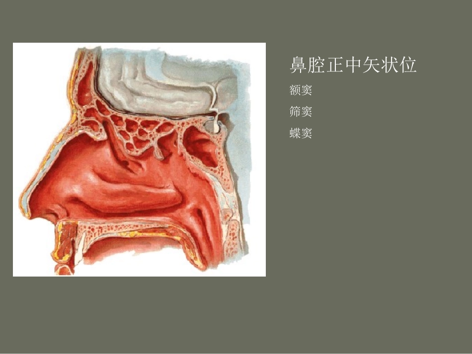 鼻和鼻窦疾病影像学诊断_第2页