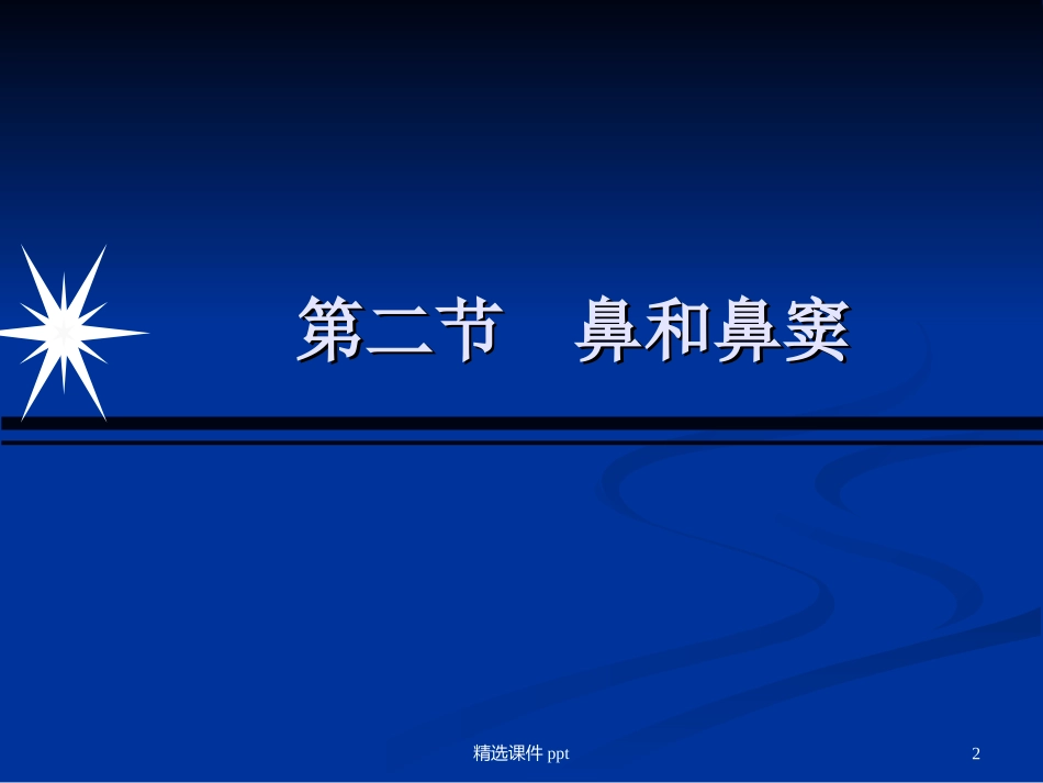 鼻和鼻窦影像诊断_第2页