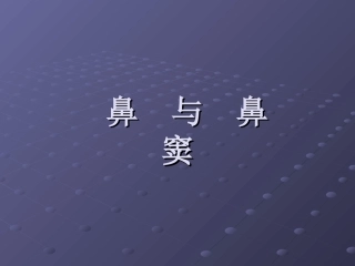 鼻与鼻窦介绍