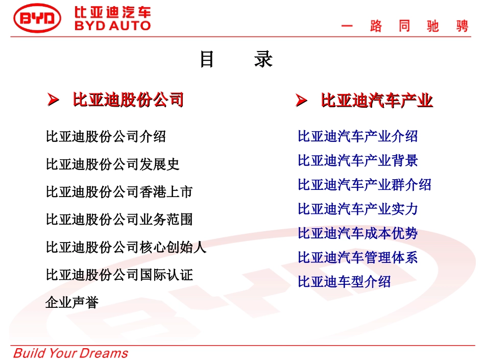 比亚迪企业文化_第2页