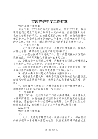 市政养护年度工作打算