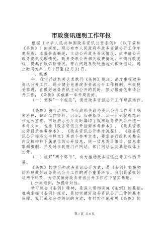 市政资讯透明工作年报