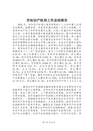 市知识产权局工作总结报告