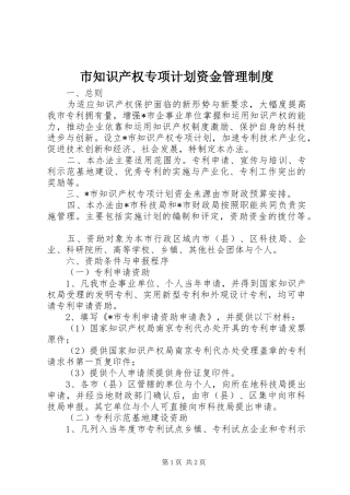 市知识产权专项计划资金管理制度