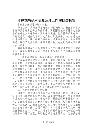 市执法局政府信息公开工作的自查报告