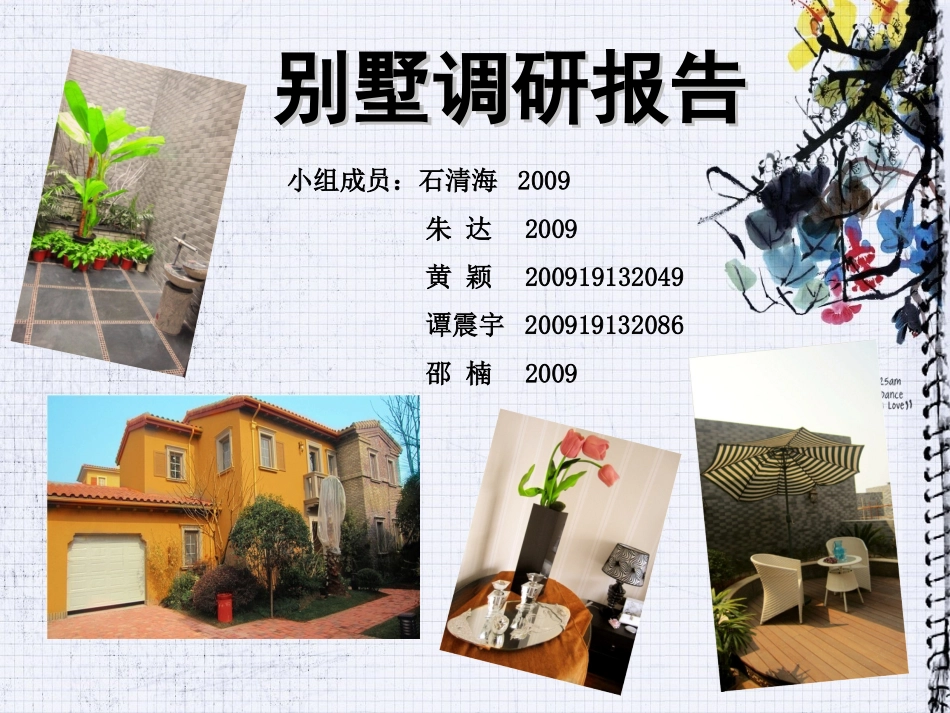 别墅调研报告_第1页