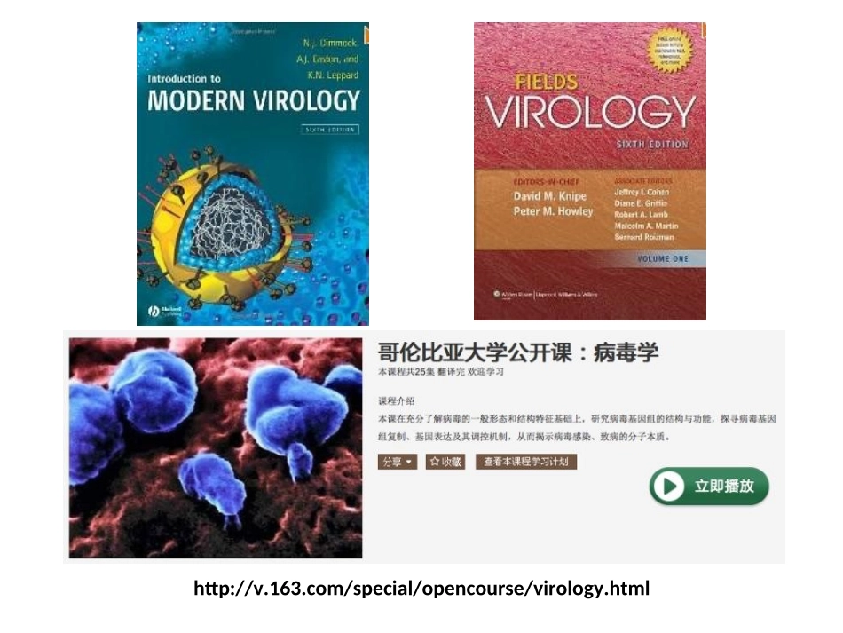 病毒的基因组与结构_第2页