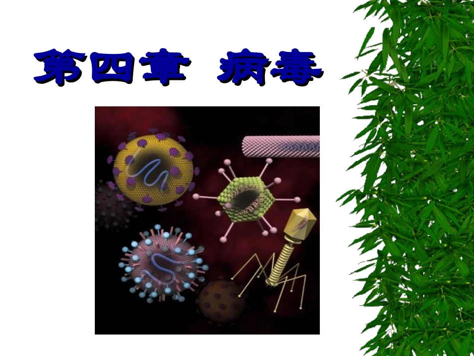 病毒噬菌体亚病毒_第1页