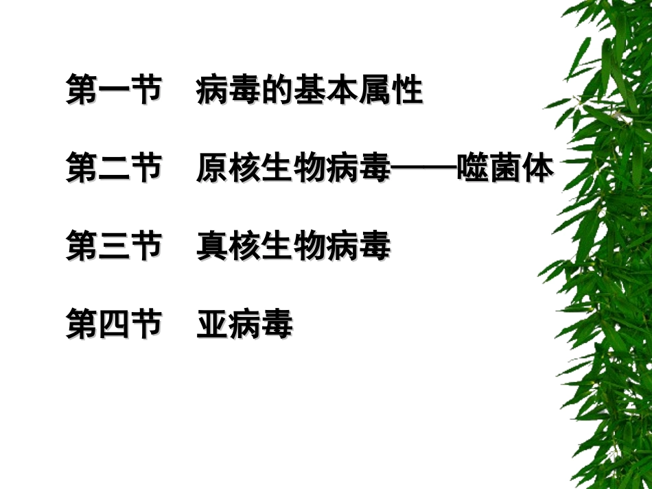 病毒噬菌体亚病毒_第2页