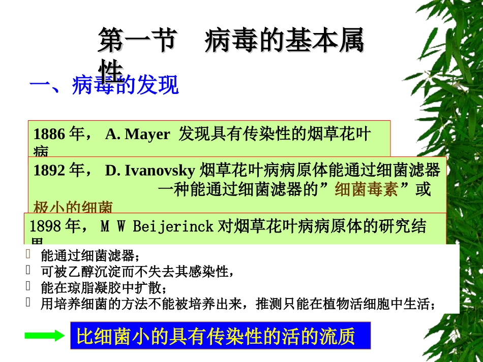 病毒噬菌体亚病毒_第3页