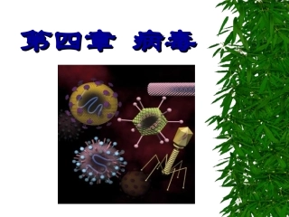 病毒噬菌体亚病毒