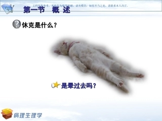 病理生理学休克课件