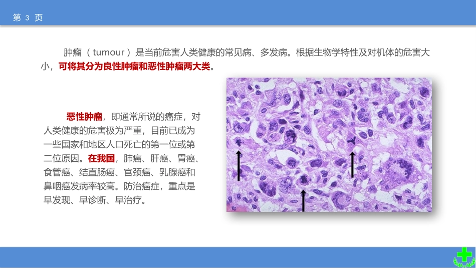 病理学第五章_第3页