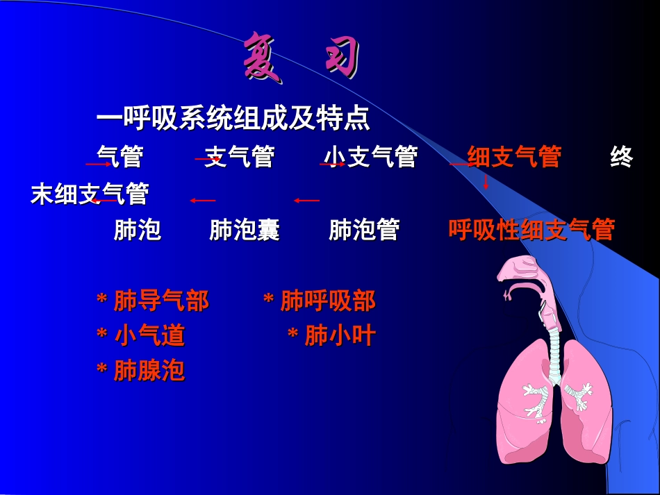 病理学呼吸系统疾病培训课件_第2页