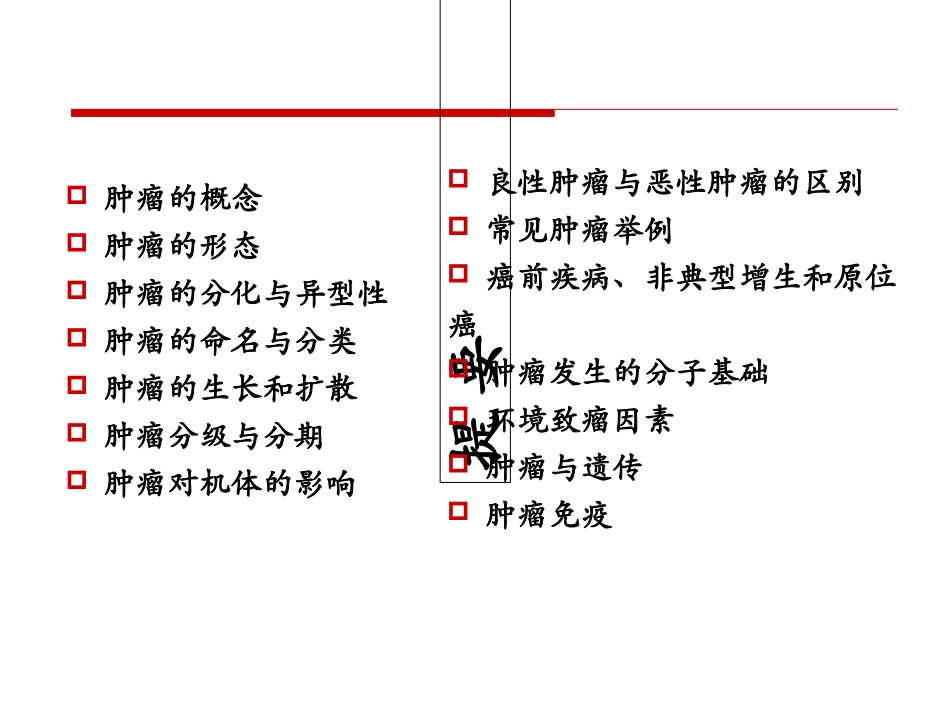 病理学课件肿瘤_第3页