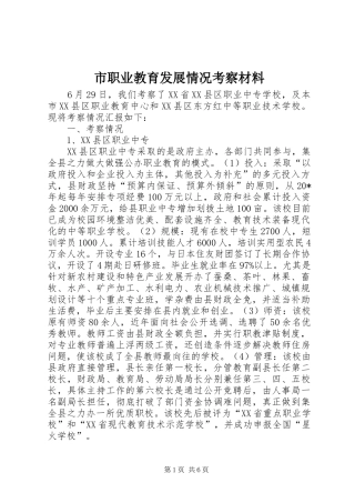 市职业教育发展情况考察材料