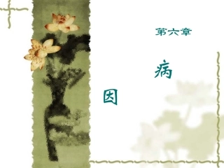 病因学说的主要内容