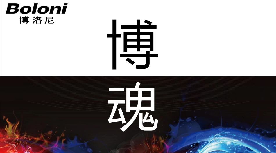 博洛尼企业文化_第1页
