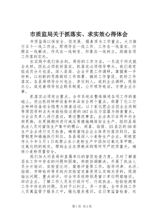 市质监局关于抓落实求实效心得体会