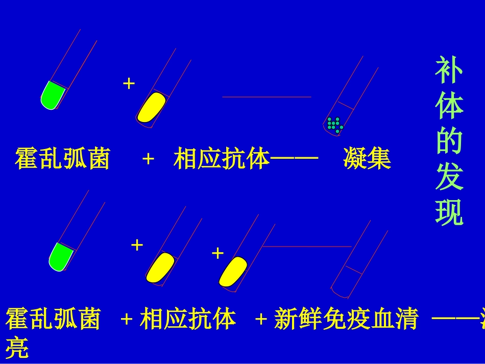 补体系统的基本概念_第3页