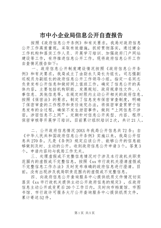 市中小企业局信息公开自查报告