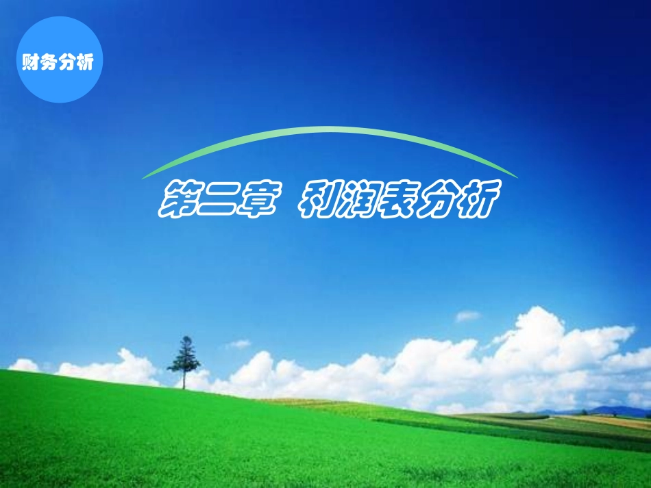 财务分析利润表分析定稿_第1页