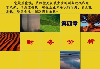 财务管理之财务分析