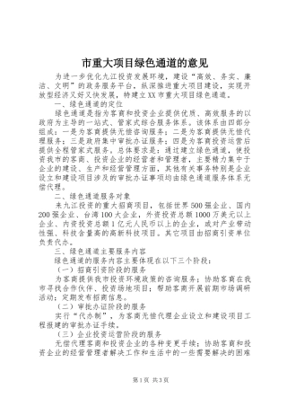 市重大项目绿色通道的意见