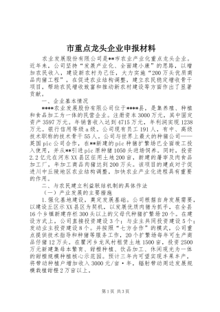 市重点龙头企业申报材料