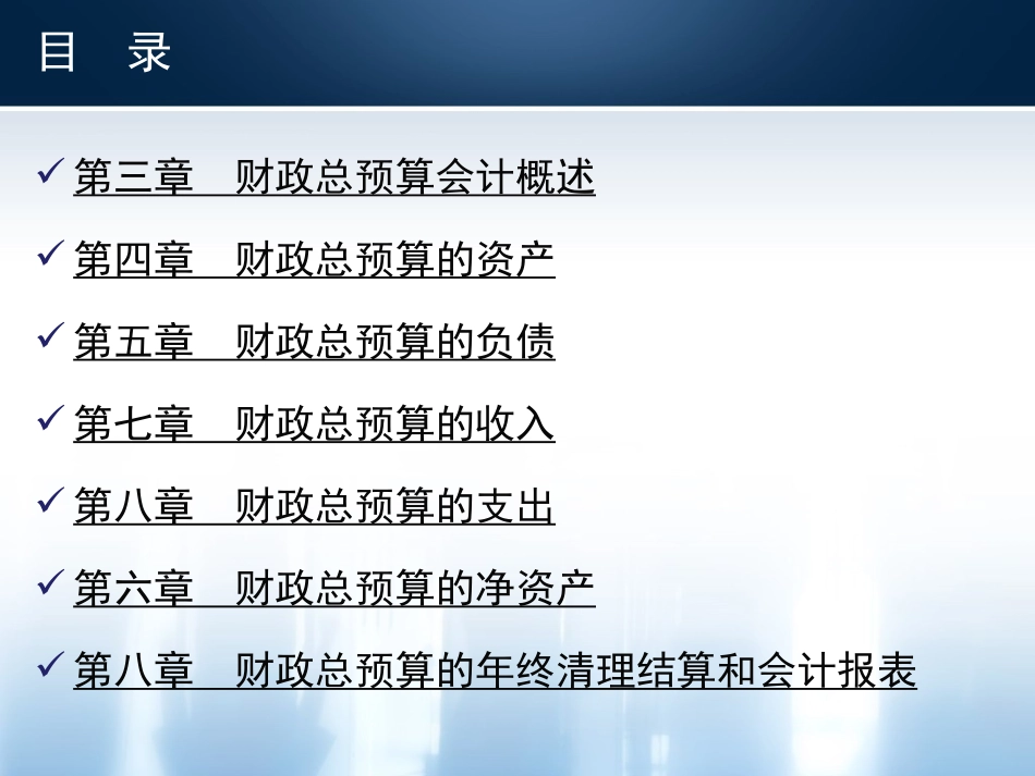 财政总预算会计_第2页