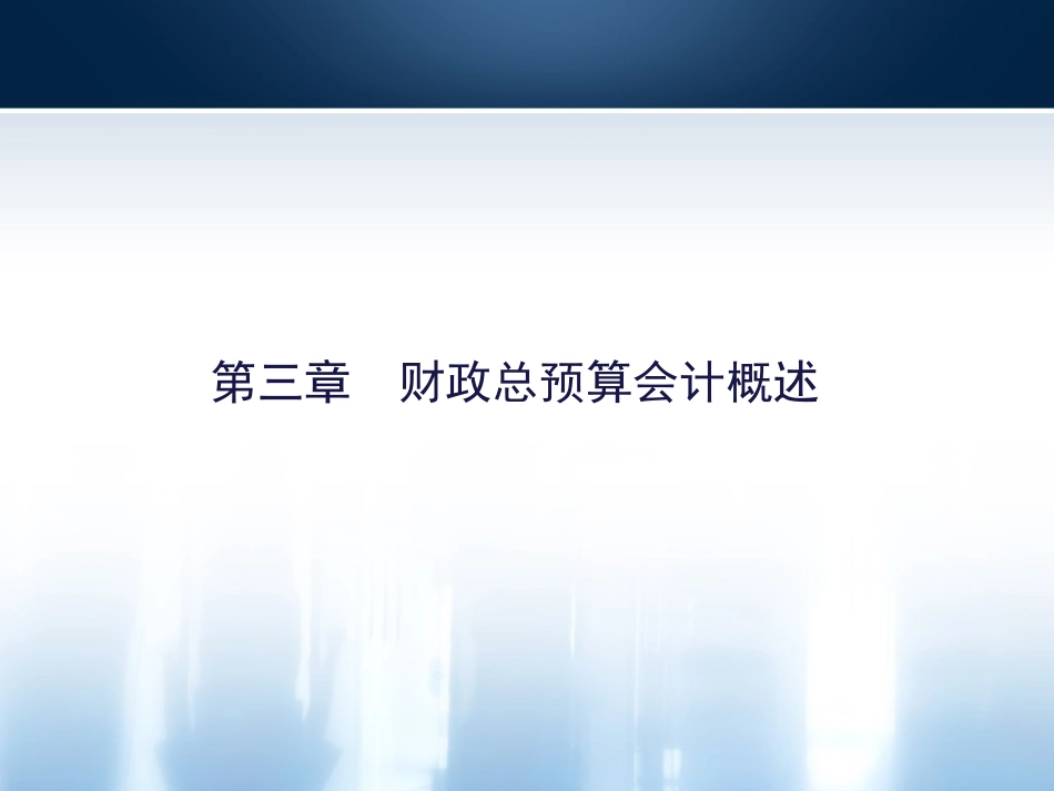 财政总预算会计_第3页